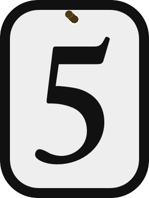 5 5